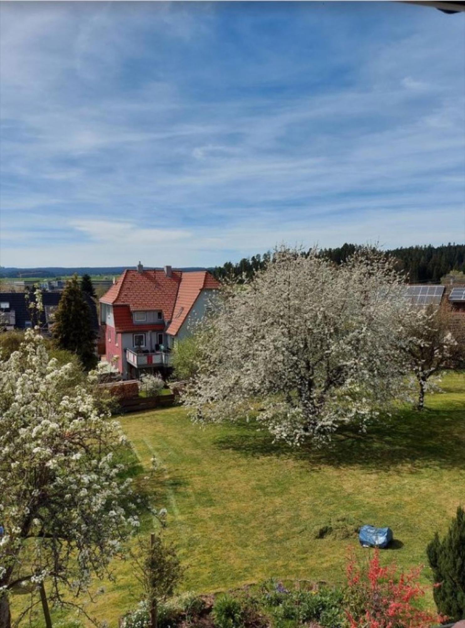 Schwarzwaldliebe Apartman Dornstetten Kültér fotó
